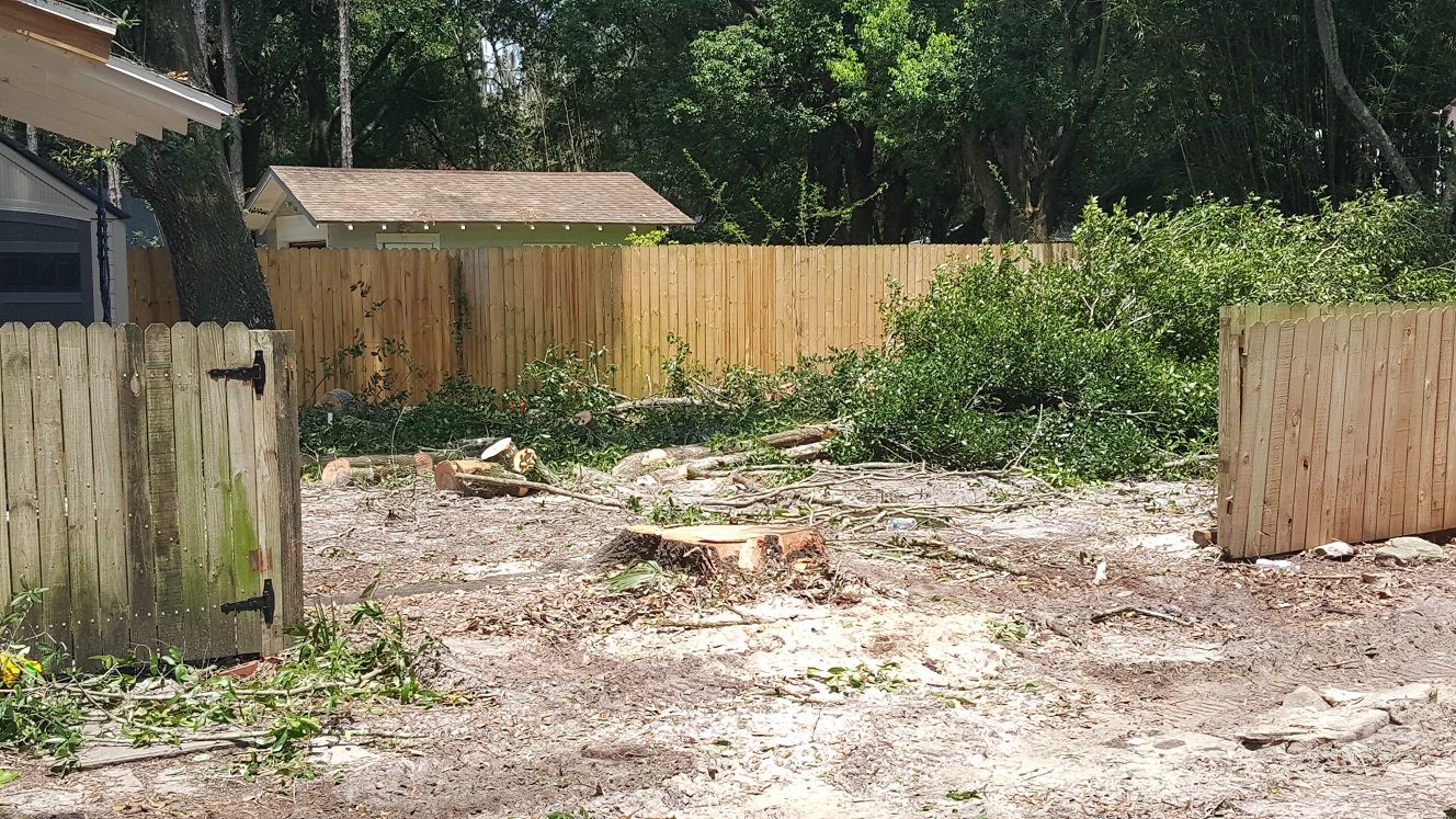 Fewer trees in the backyard