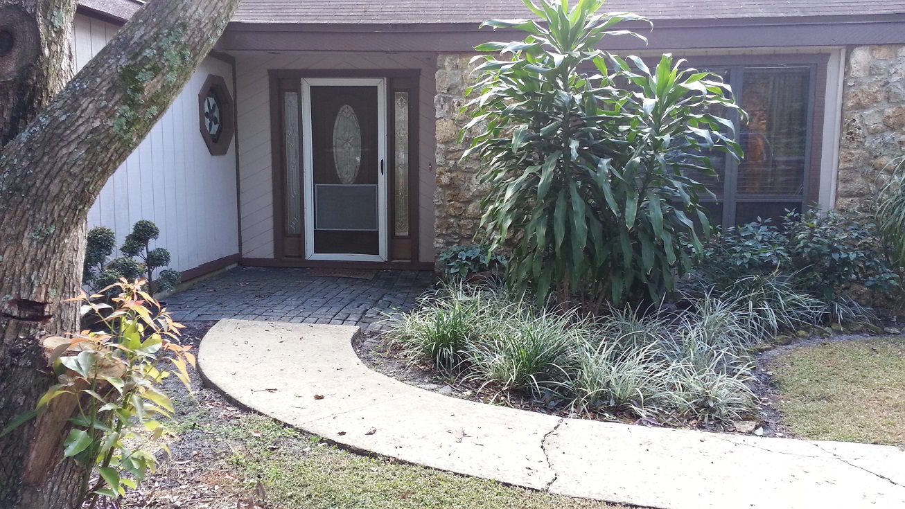 Our Old New Home