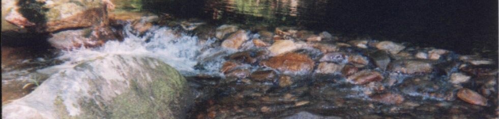 Stew Falls